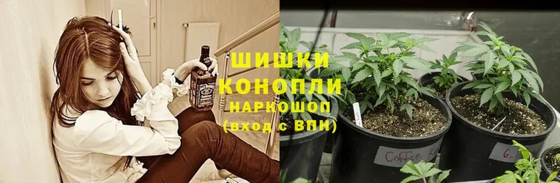 Бошки марихуана White Widow  Бежецк 